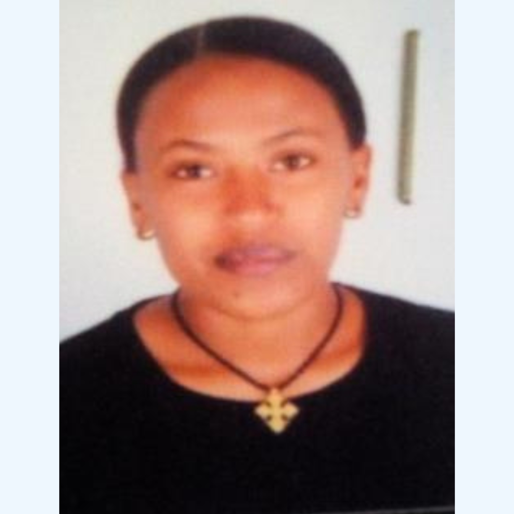 Hanamariam Sebsibew Embiale